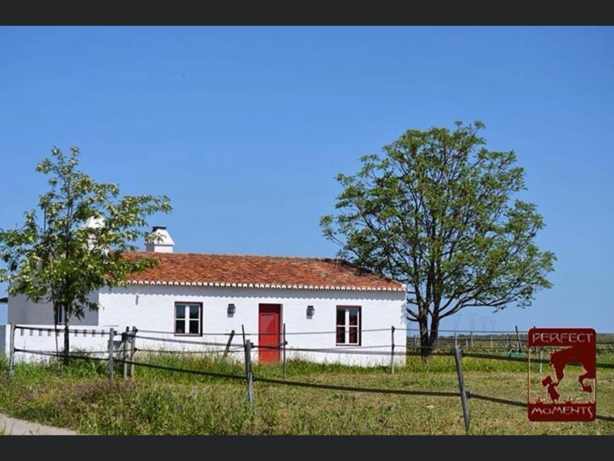Вилла Monte Da Boavista - Country Family House Алтер-ду-Шан Экстерьер фото